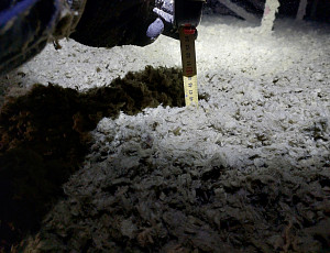 Zateplení stropu dílny pomocí foukané izolace